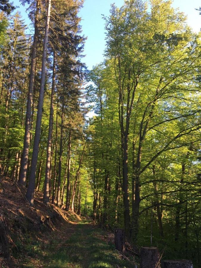 Waldnest Odenwald Hotell Eksteriør bilde