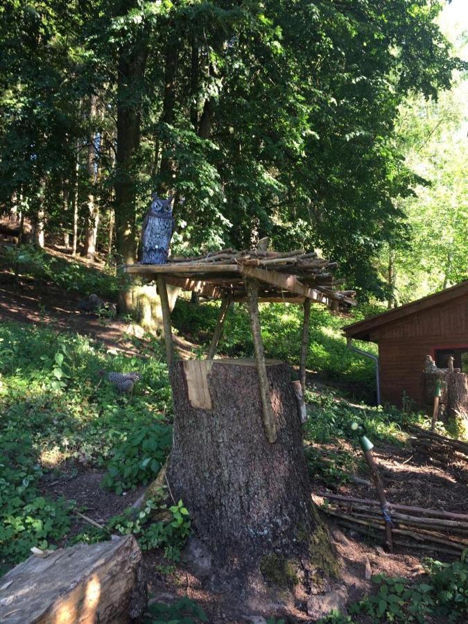 Waldnest Odenwald Hotell Eksteriør bilde