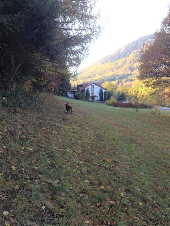 Waldnest Odenwald Hotell Eksteriør bilde